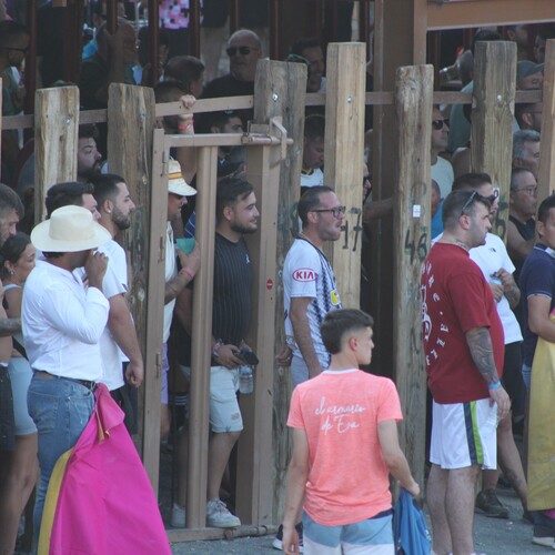 toros_2026__65