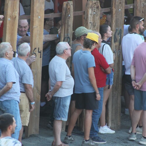 toros_2026__68