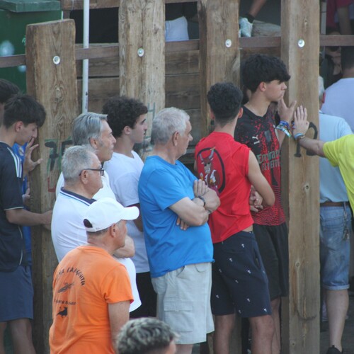 toros_2026__70