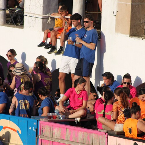 toros_2026__77
