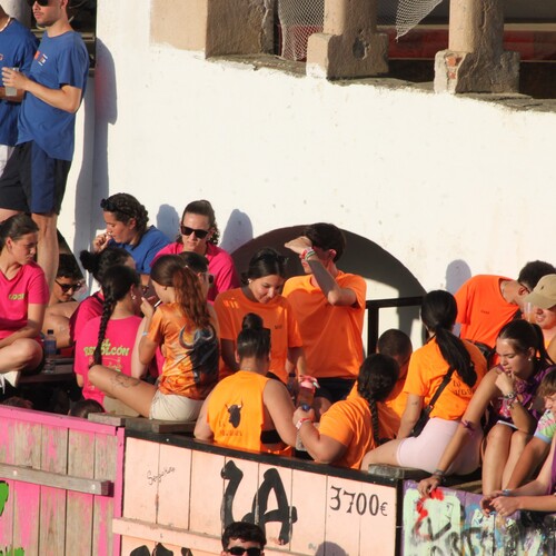 toros_2026__78