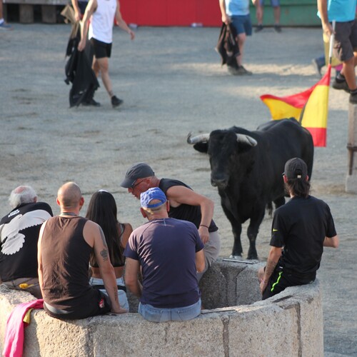 toros_2026__84