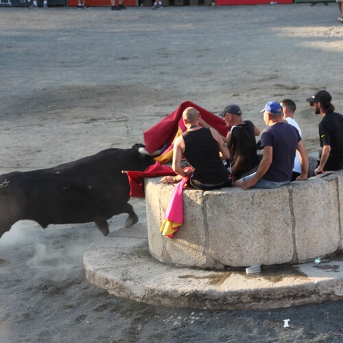 toros_2026__86