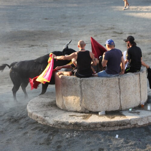 toros_2026__87