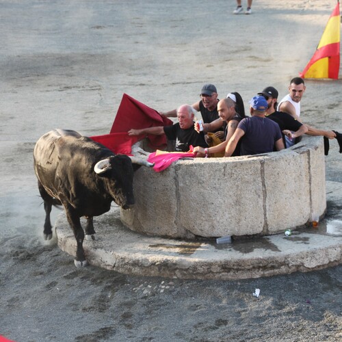 toros_2026__88