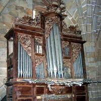 El Organo de San Pedro