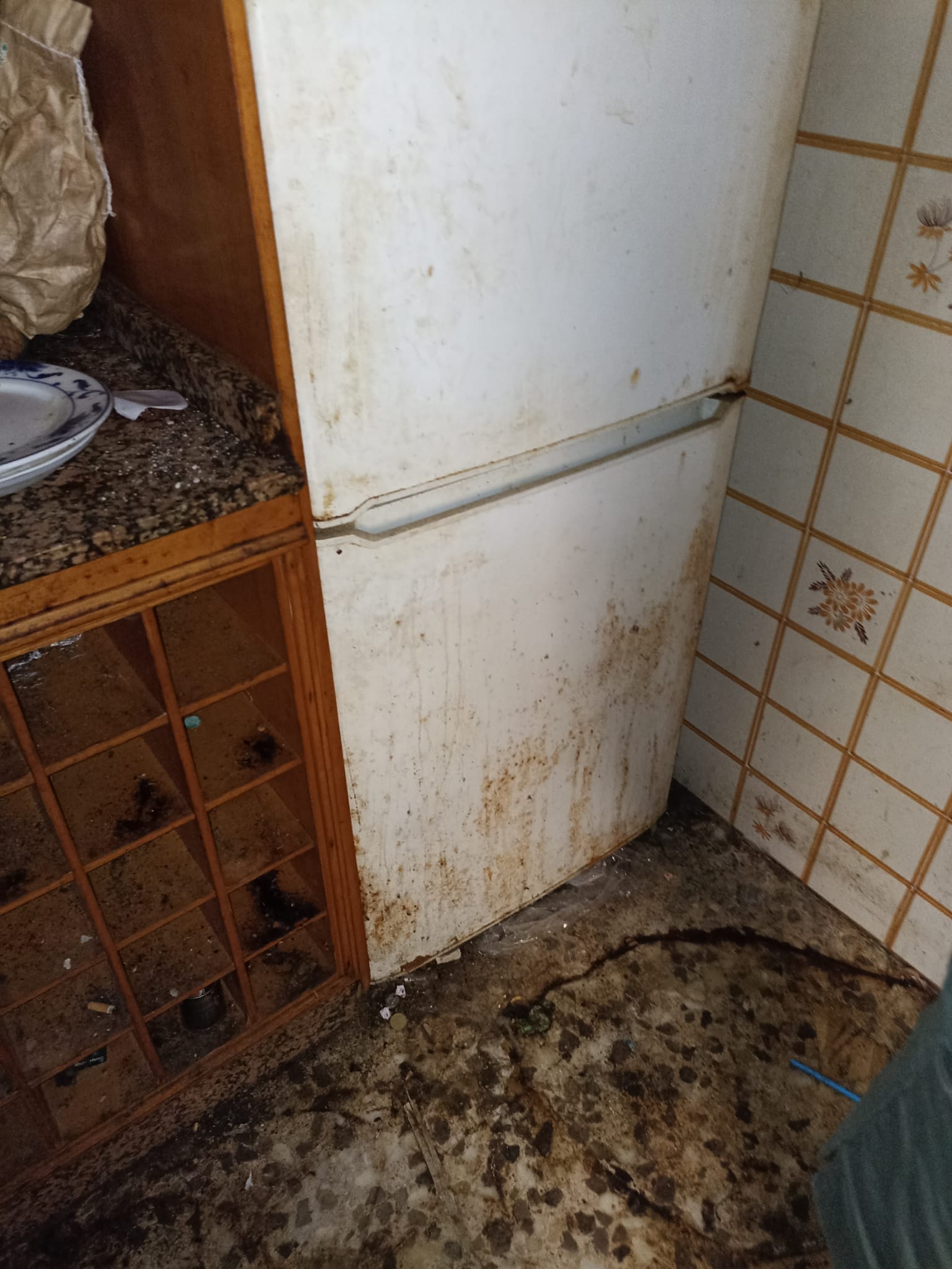 Vaciado de pisos en Caseres | Sin desorden ni esfuerzo de su parte