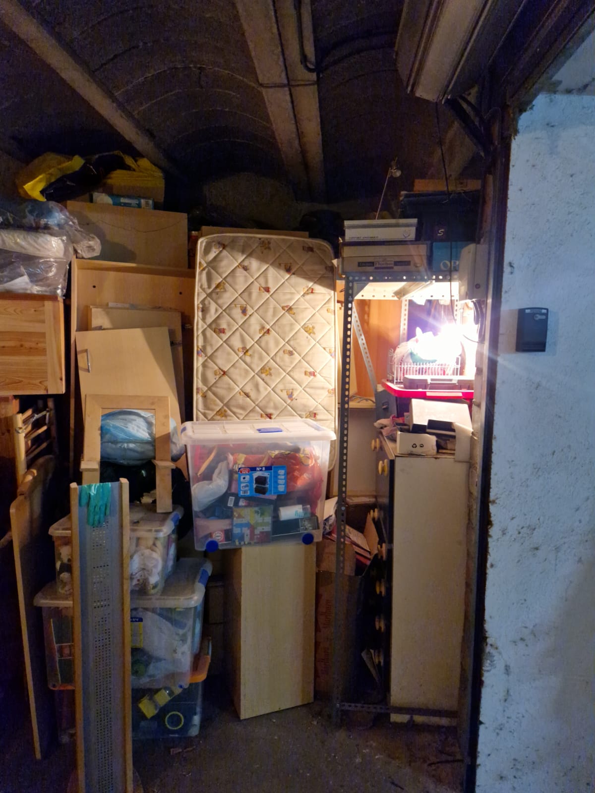 ¿Quieres limpiar tu piso de Subirats de muebles viejos y trastos? Descubre cuánto tiempo te tomará hacerlo.
