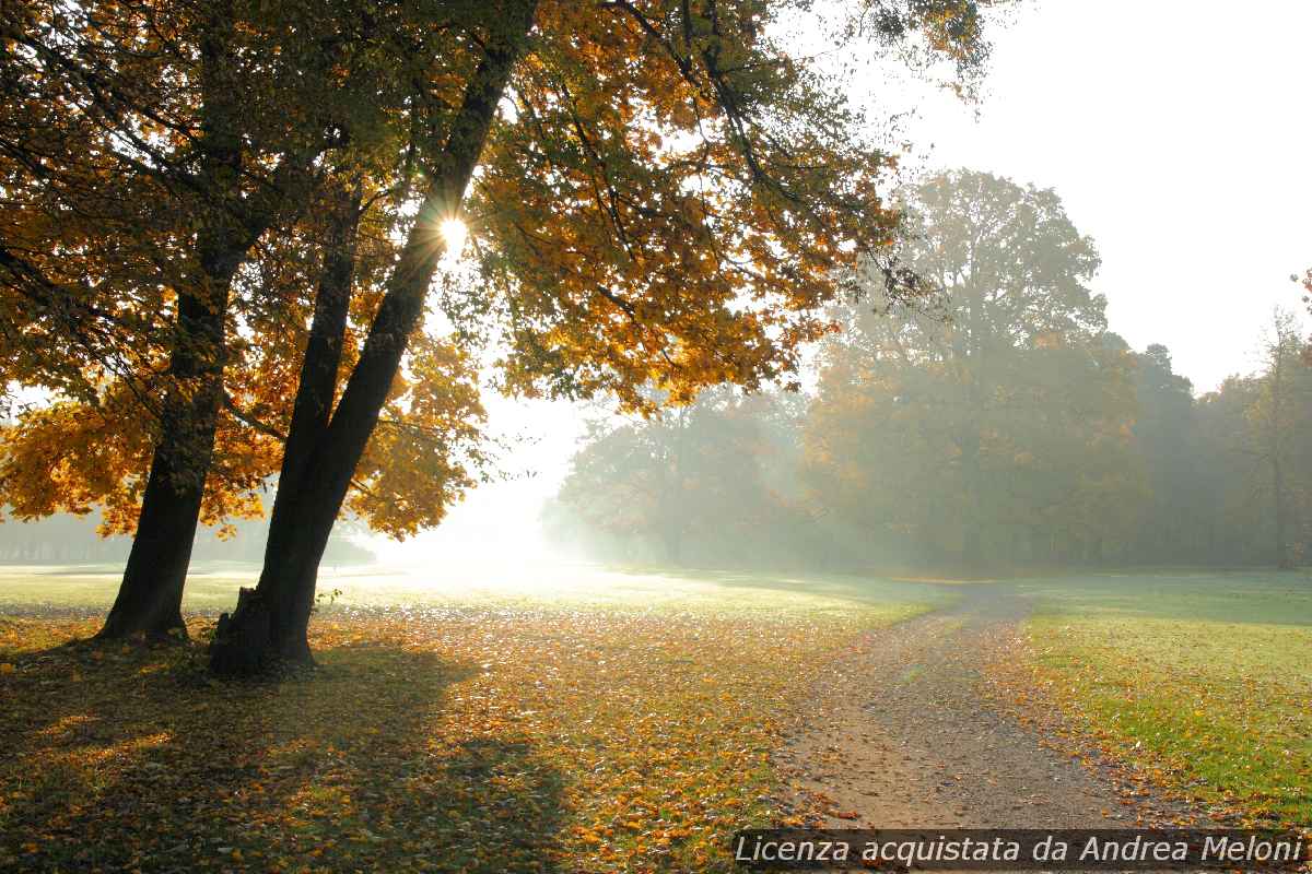 Meteo Prato: domani sereno, ventoso a tratti, poi quasi sereno
