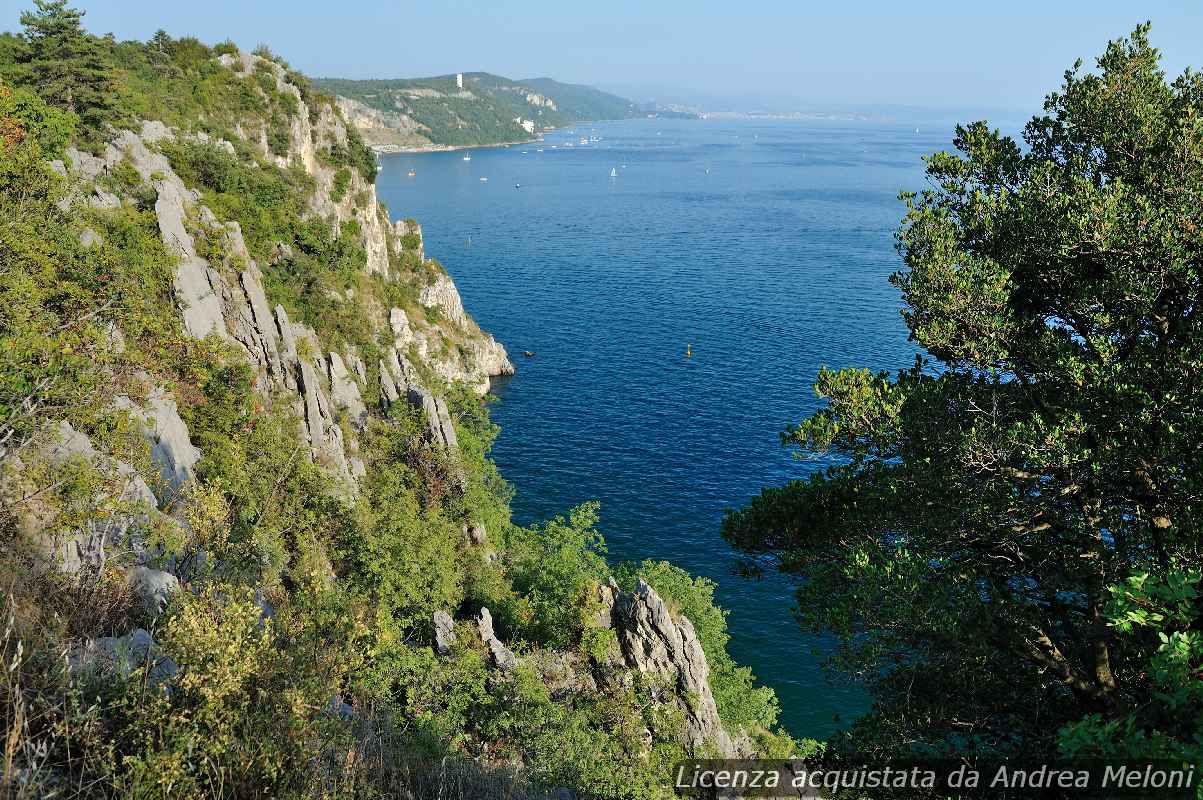 meteo-trieste-oggi-poco-nuvoloso,-poi-nubi-sparse