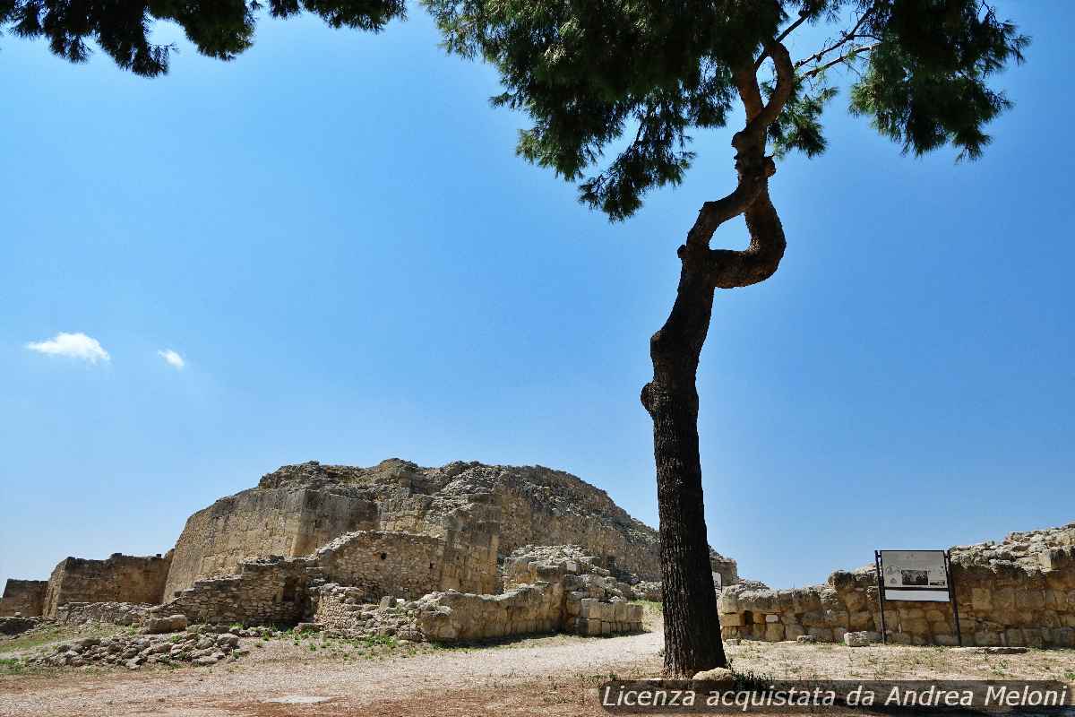 meteo-andria:-da-poco-nuvoloso-a-sereno,-con-vento-in-aumento