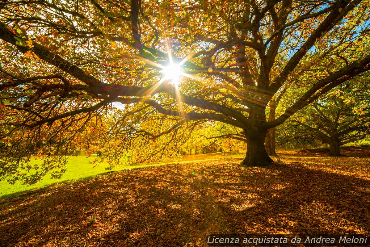 meteo-varese:-giorni-successivi-con-cielo-sereno-e-vento-intermittente