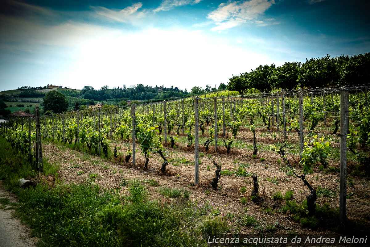 meteo-asti:-domani-nuvoloso-con-nevischio,-seguito-da-nebbia