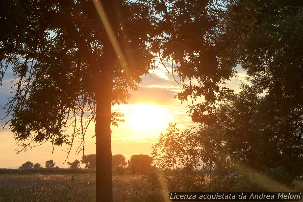 meteo-varese:-domani-poco-nuvoloso,-poi-nubi-sparse-con-foschia