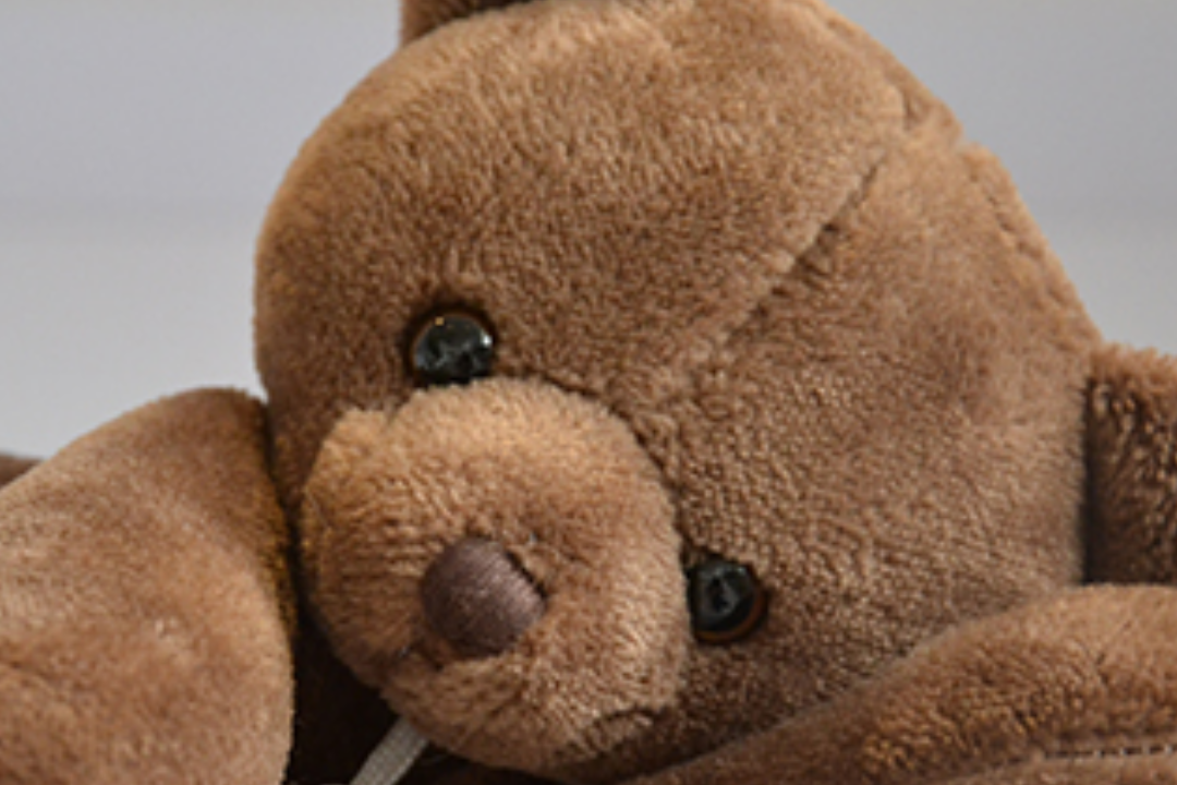 Histoire d'ours peluche sweety ours