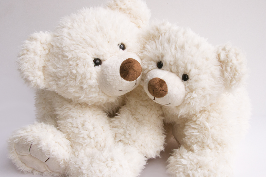 Histoire d'ours peluche pat'ours blanc