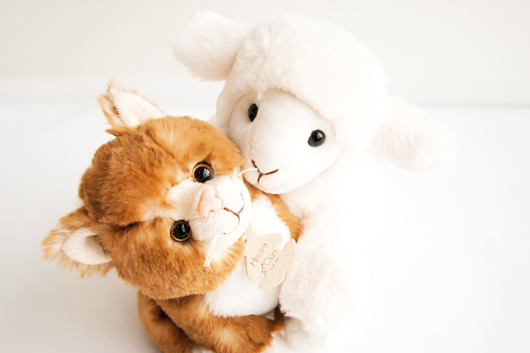 Histoire d'ours ferme