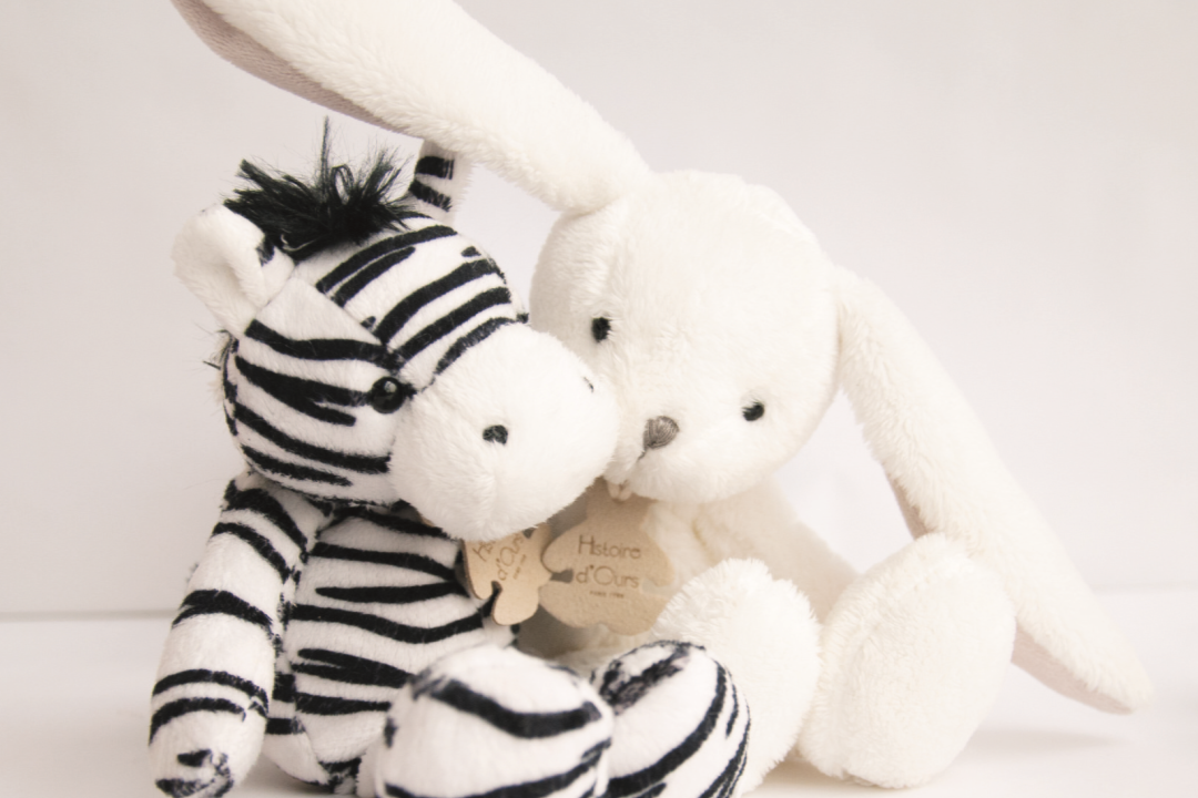 Histoire d'ours - Les Yoopy