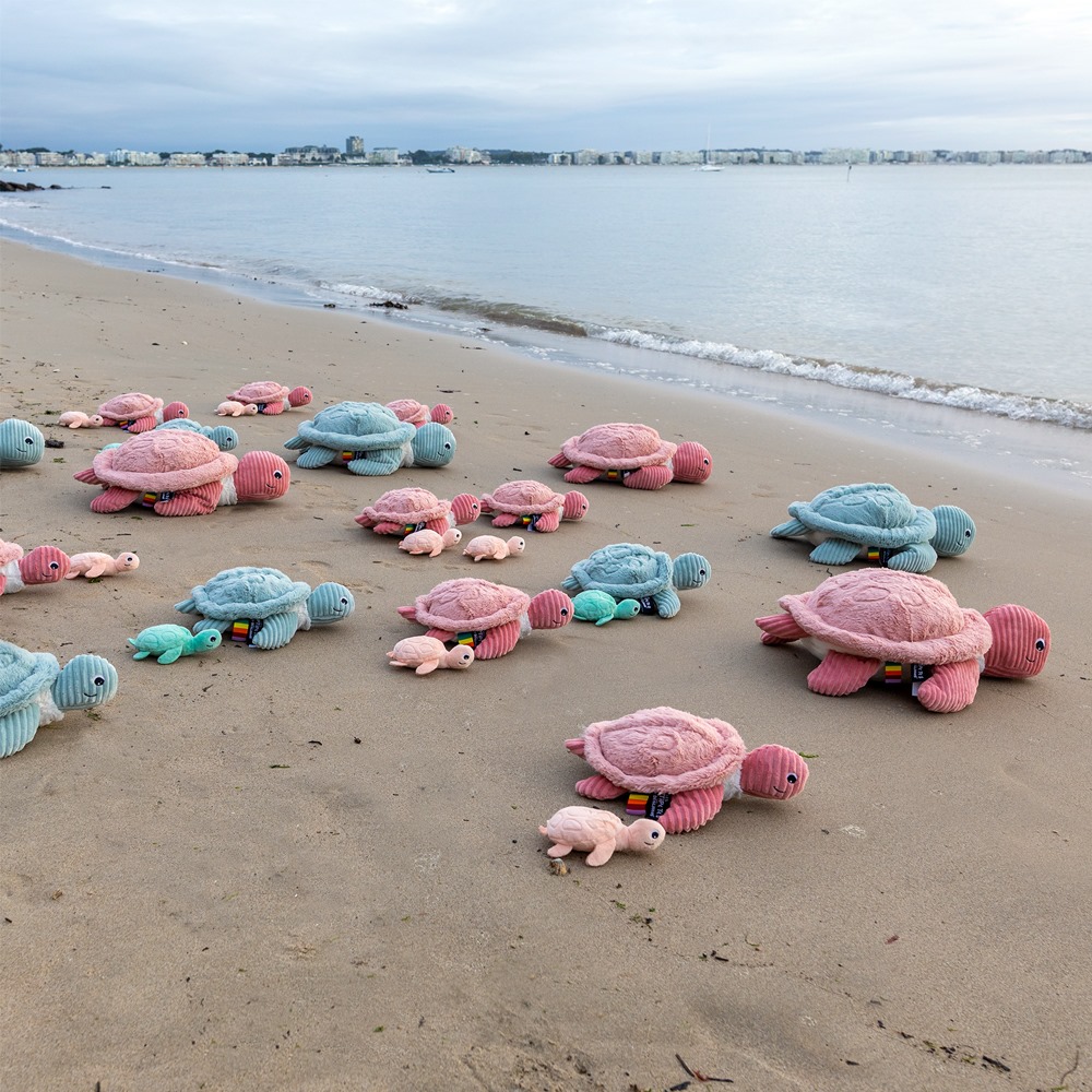 deglingos tortue