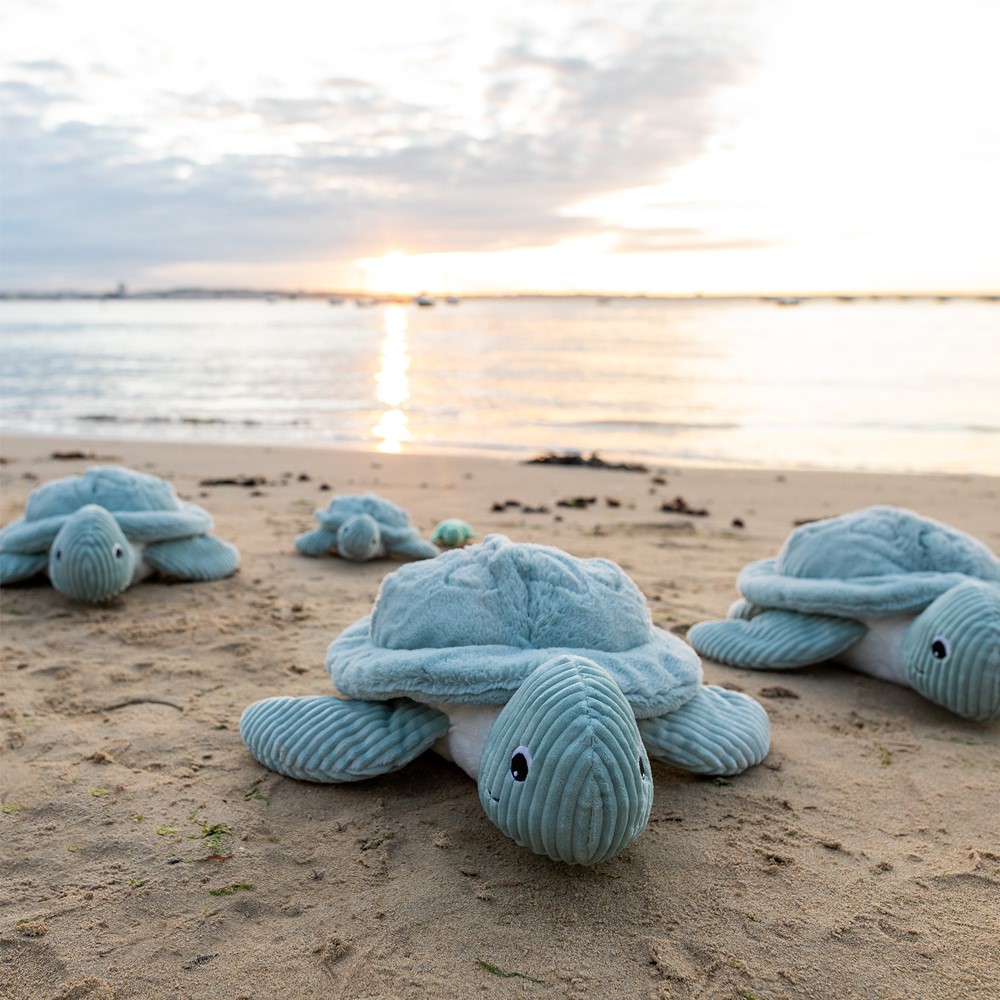 peluche tortue 