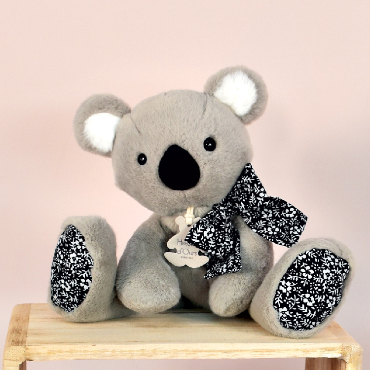 histoire d'ours koala