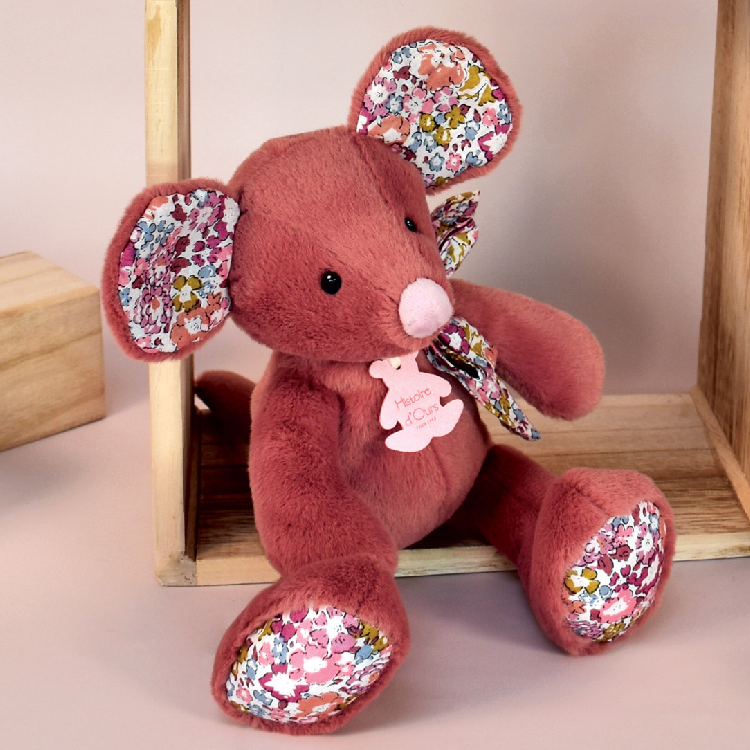 histoire d'ours souris