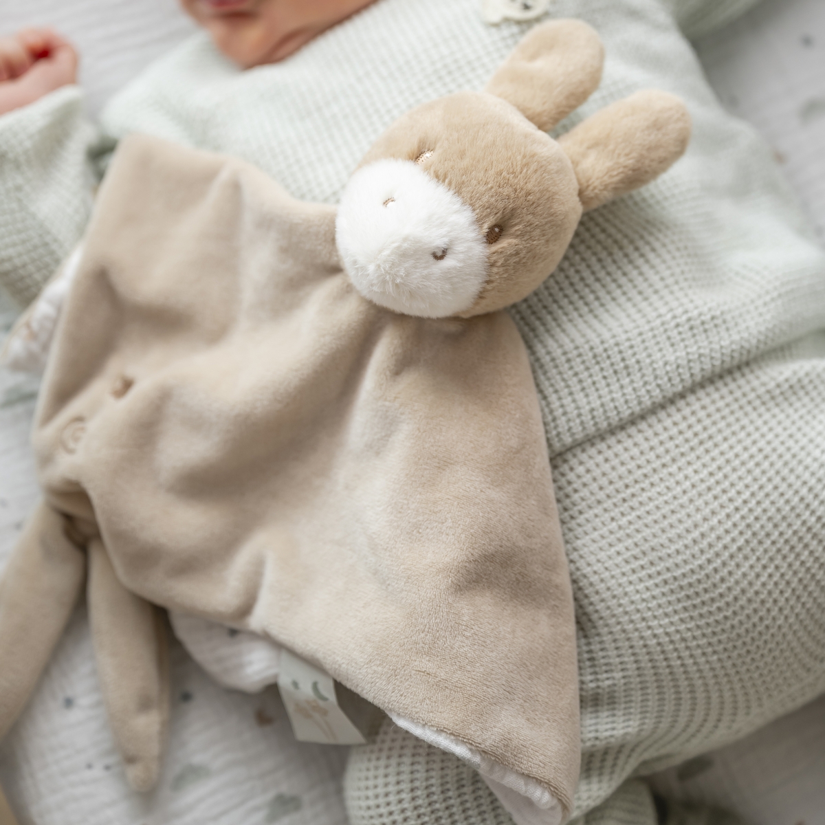doudou nattou âne
