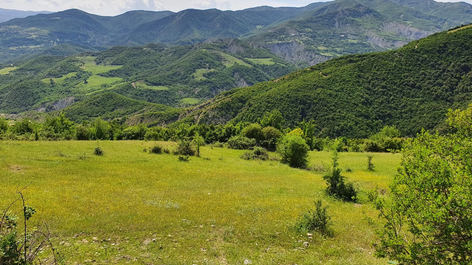 Parque Nacional de Fir of Hotova