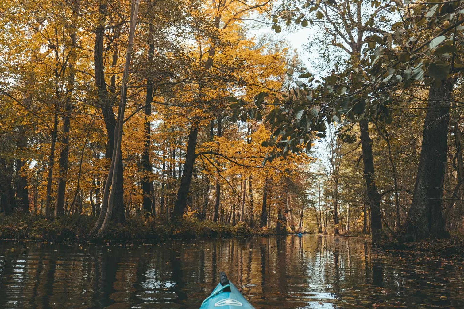 Parque Natural Spreewald