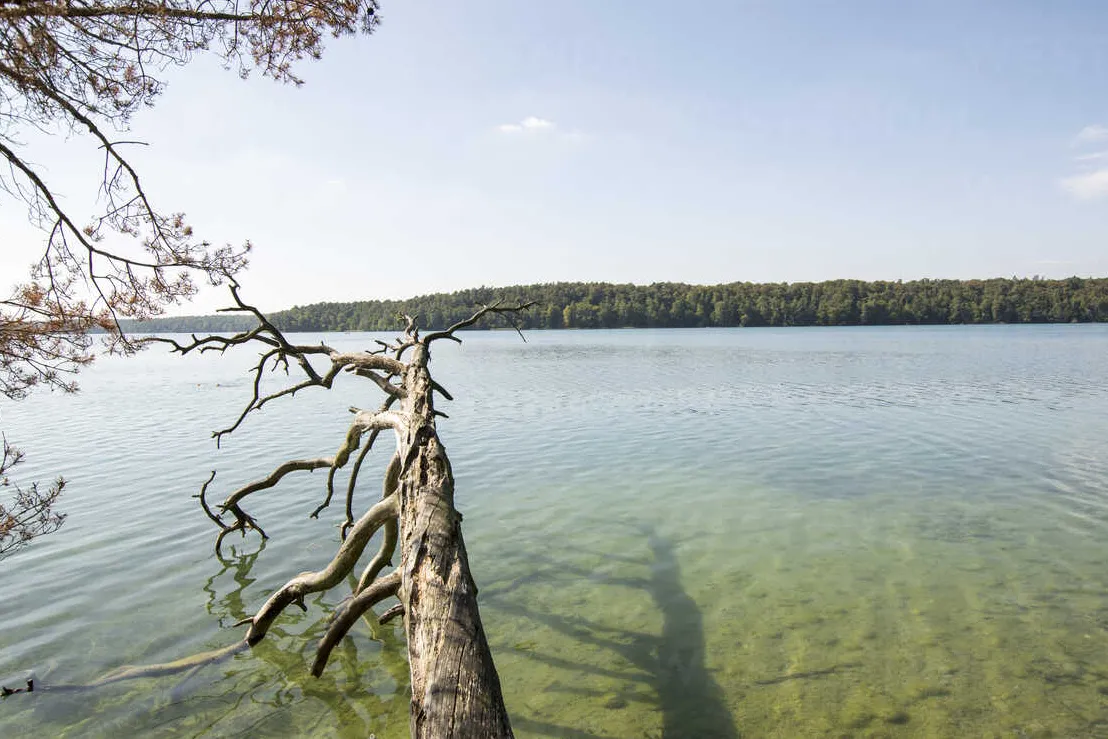 Lago Stechlin (Stechlinsee)