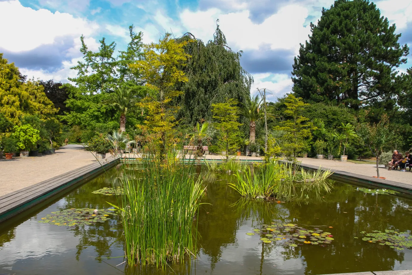 Botanischer Garten Rombergpark