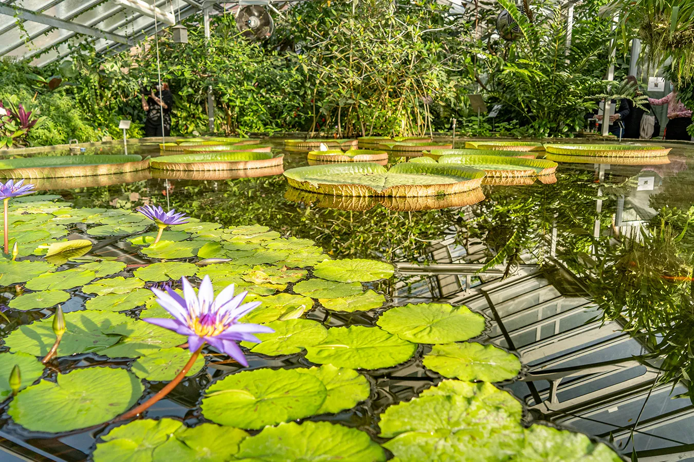 Jardín Botánico Gruson-Gewächshäuser