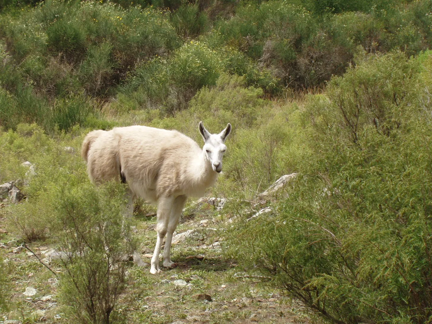 Reserva Natural Sierra del Tigre