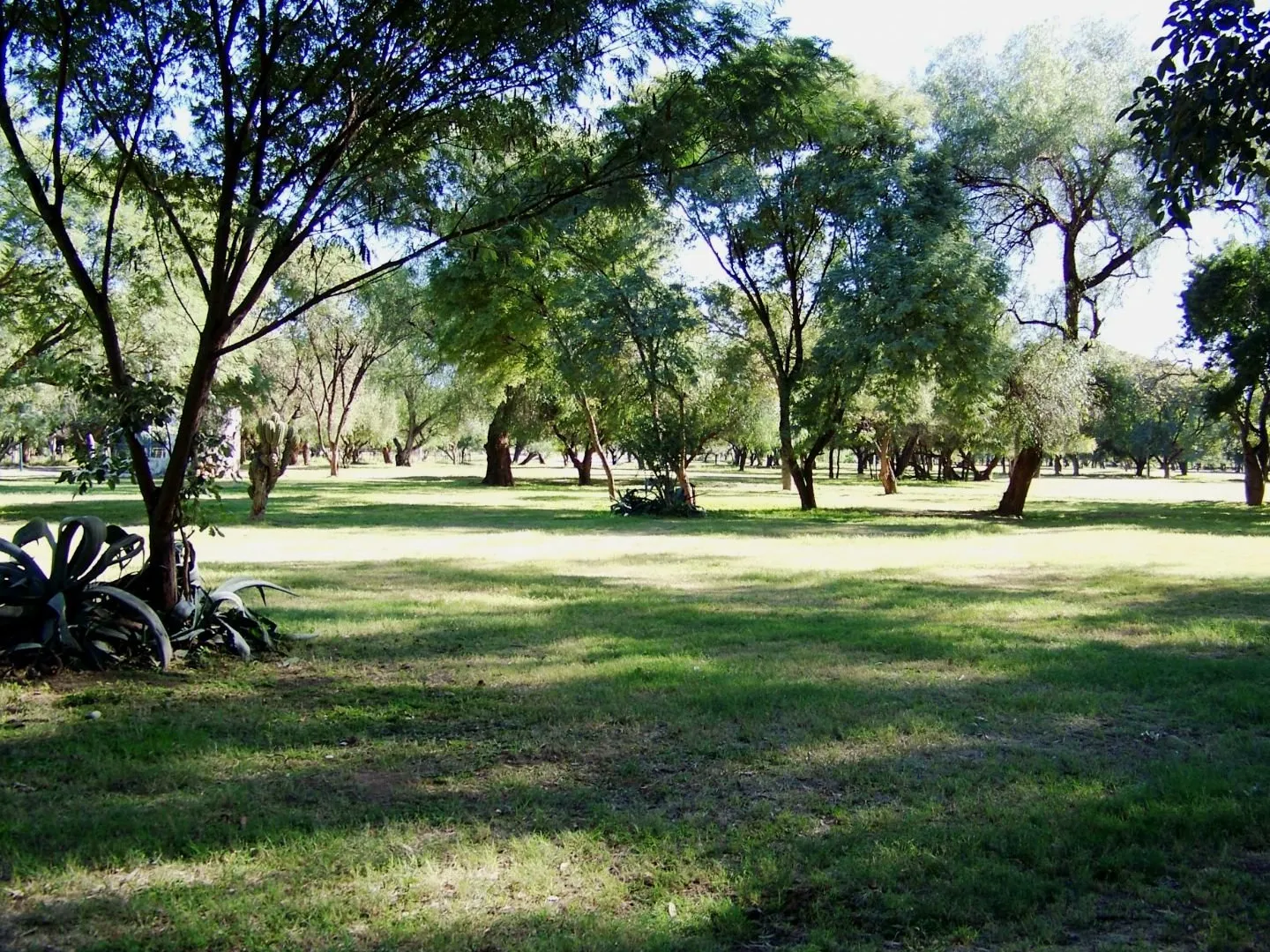 Parque Adán Quiroga