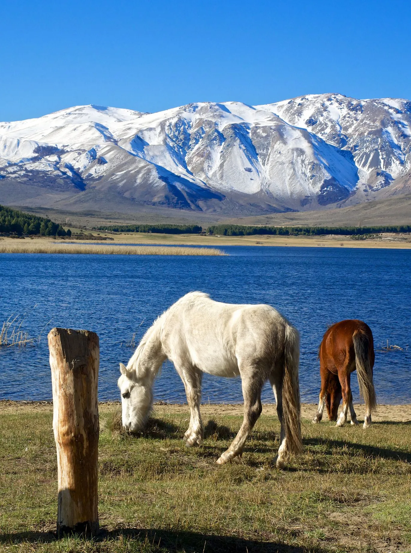 Laguna La Zeta