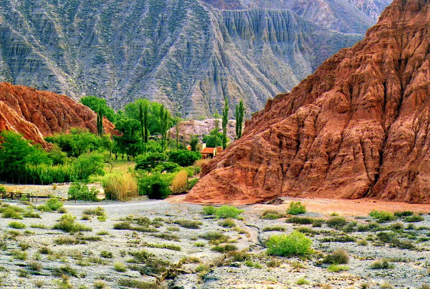 Paseo Los Colorados