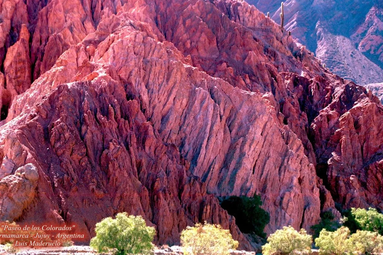 Paseo de los Colorados