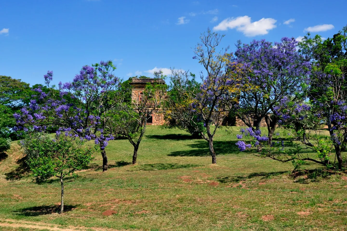 Parque San Carlos