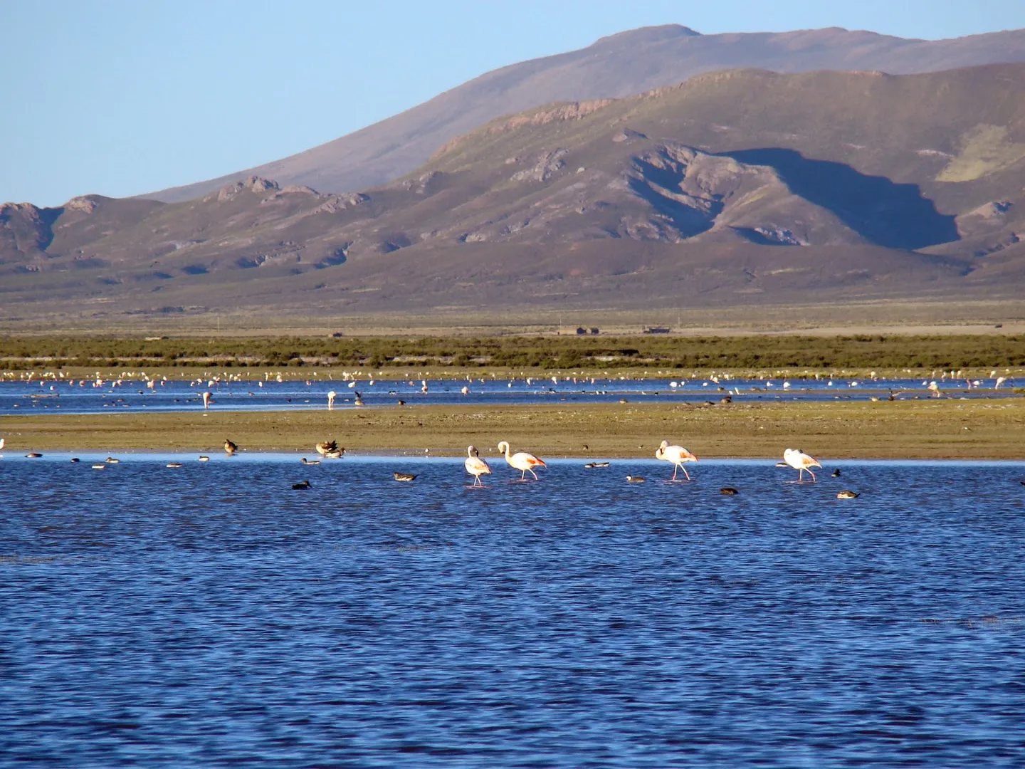 Laguna de los Pozuelos