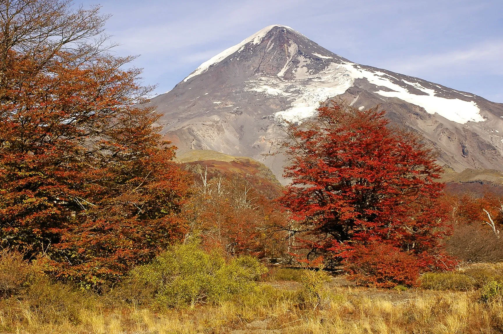 Parque Nacional Lanín