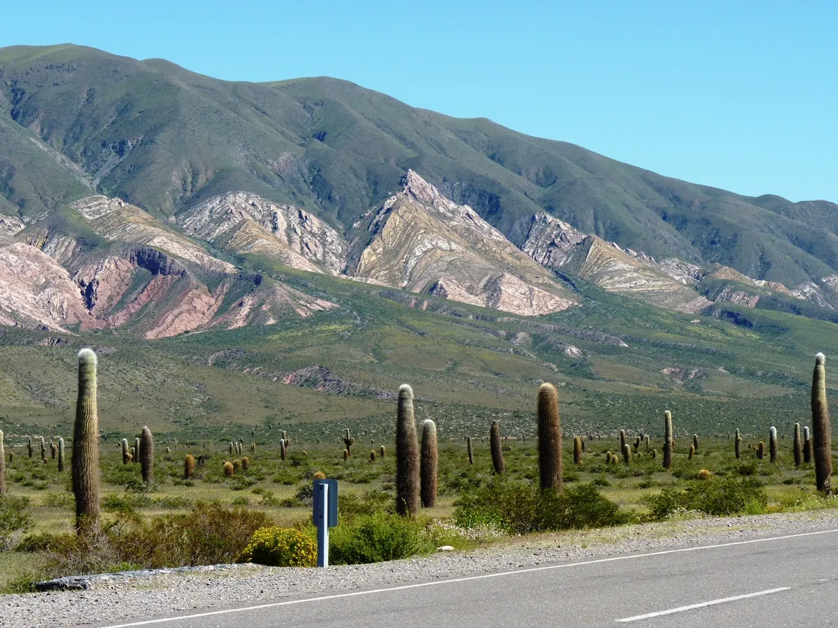 Parque Nacional Los Cardones