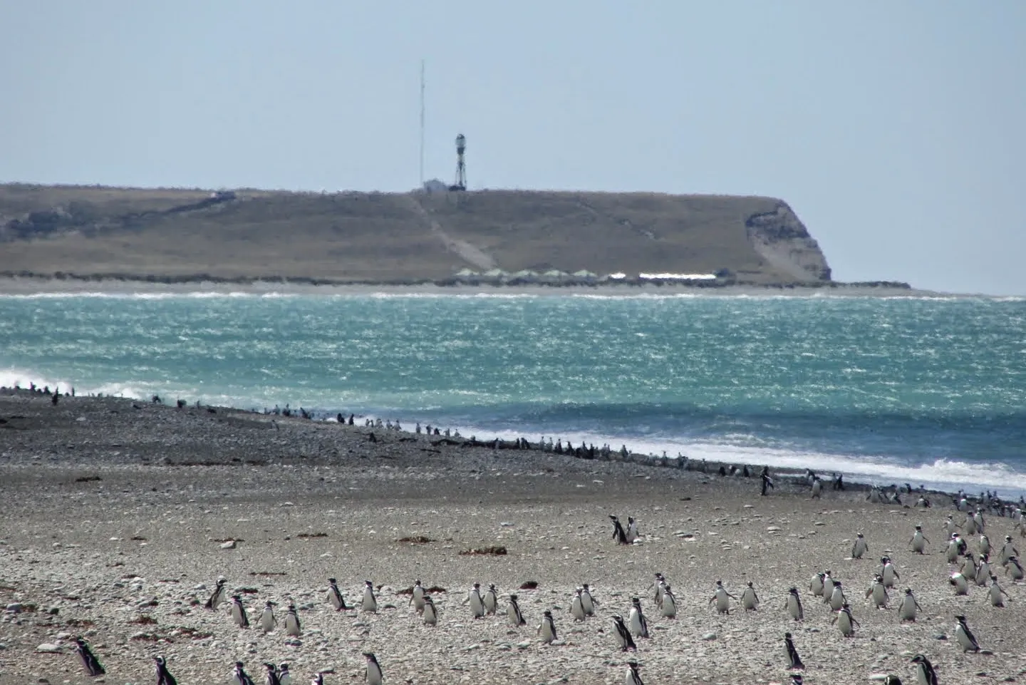 Reserva Natural de Cabo Vírgenes