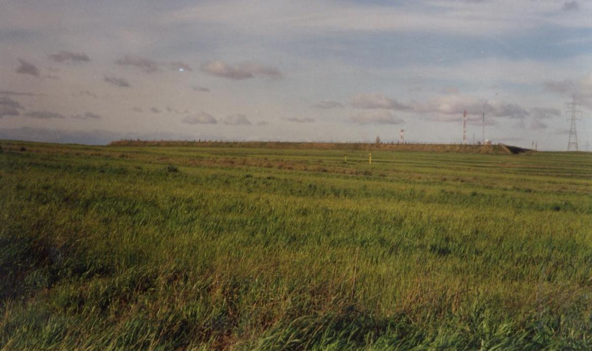 Audioguía de Boa Vista