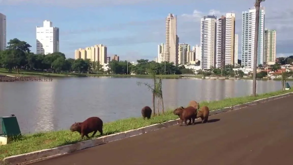 Parque das Nações Indígenas