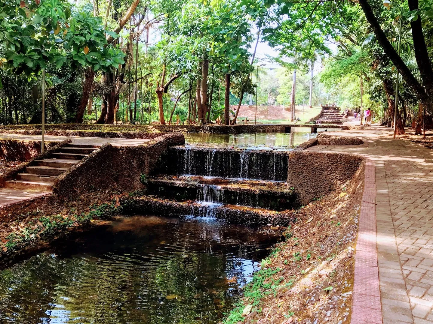 Bosque dos Buritis