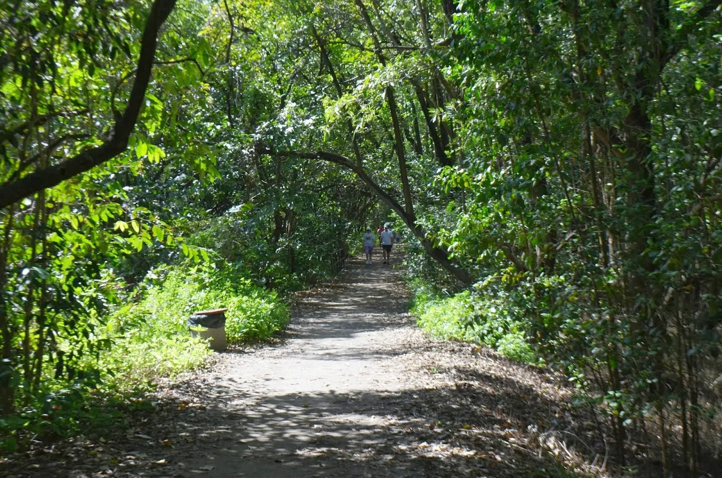 Parque do Cocó