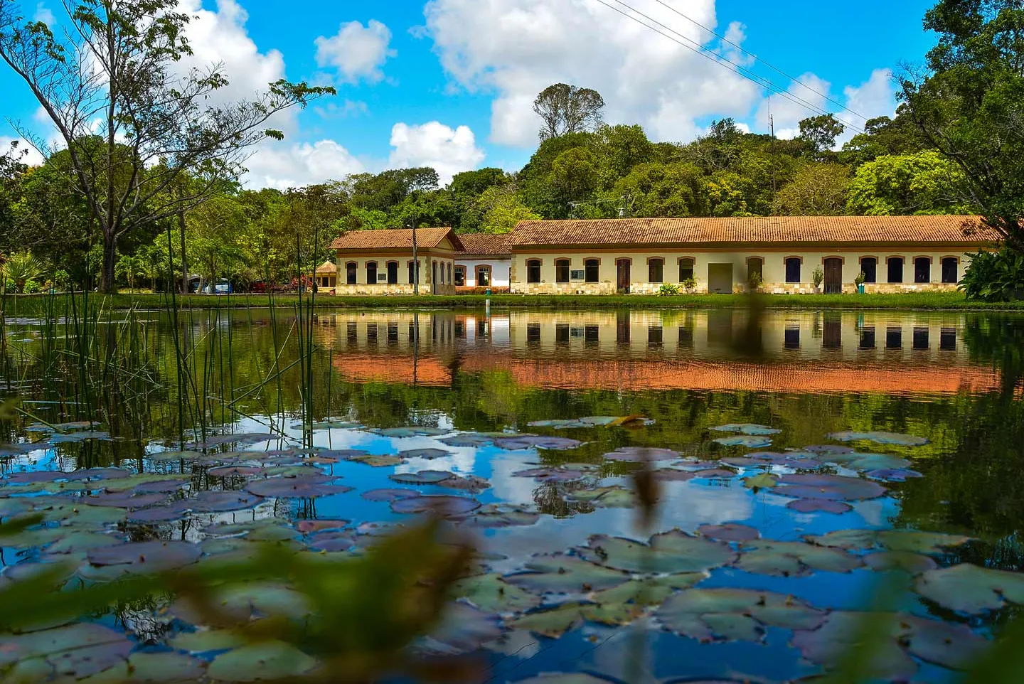 Jardín Botánico Benjamin Maranhão