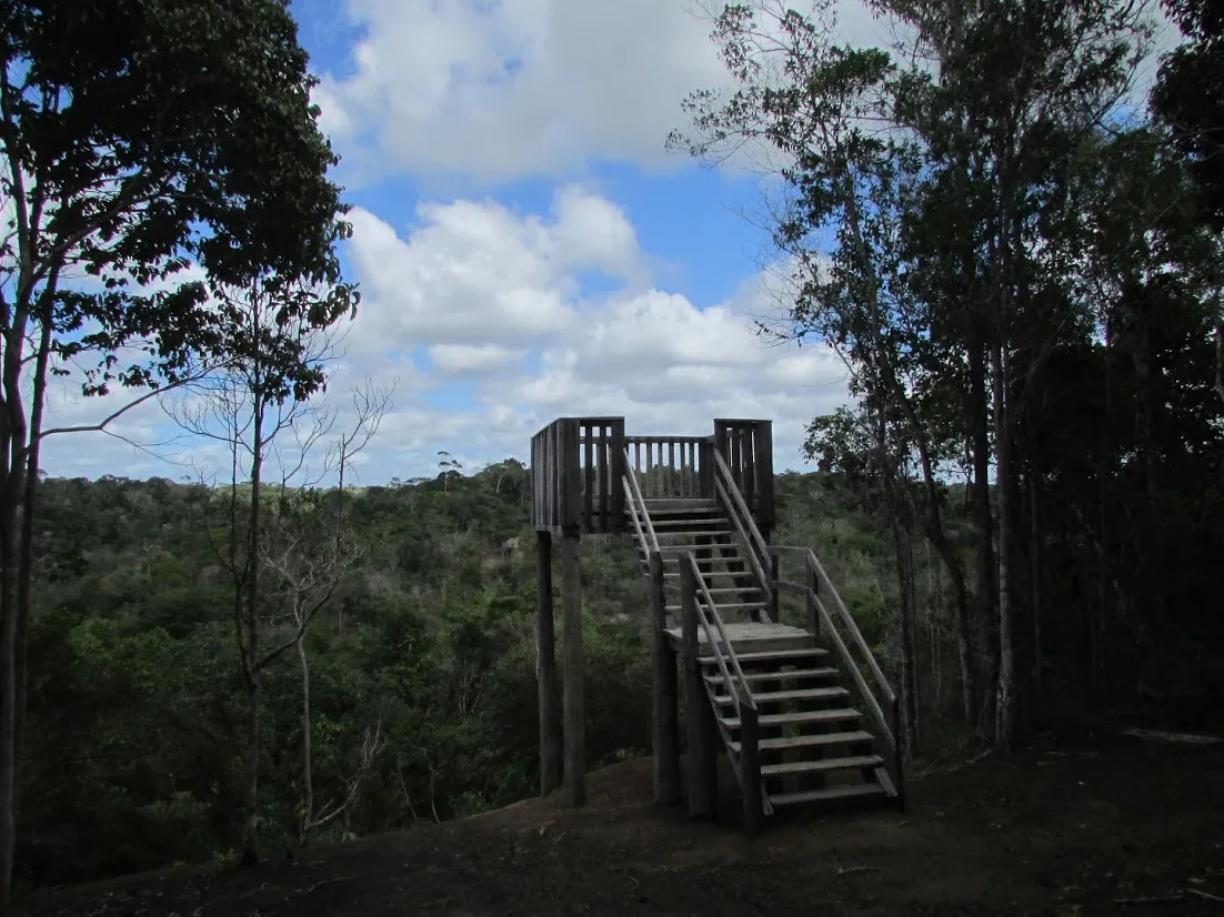 Parque Nacional do Pau Brasil