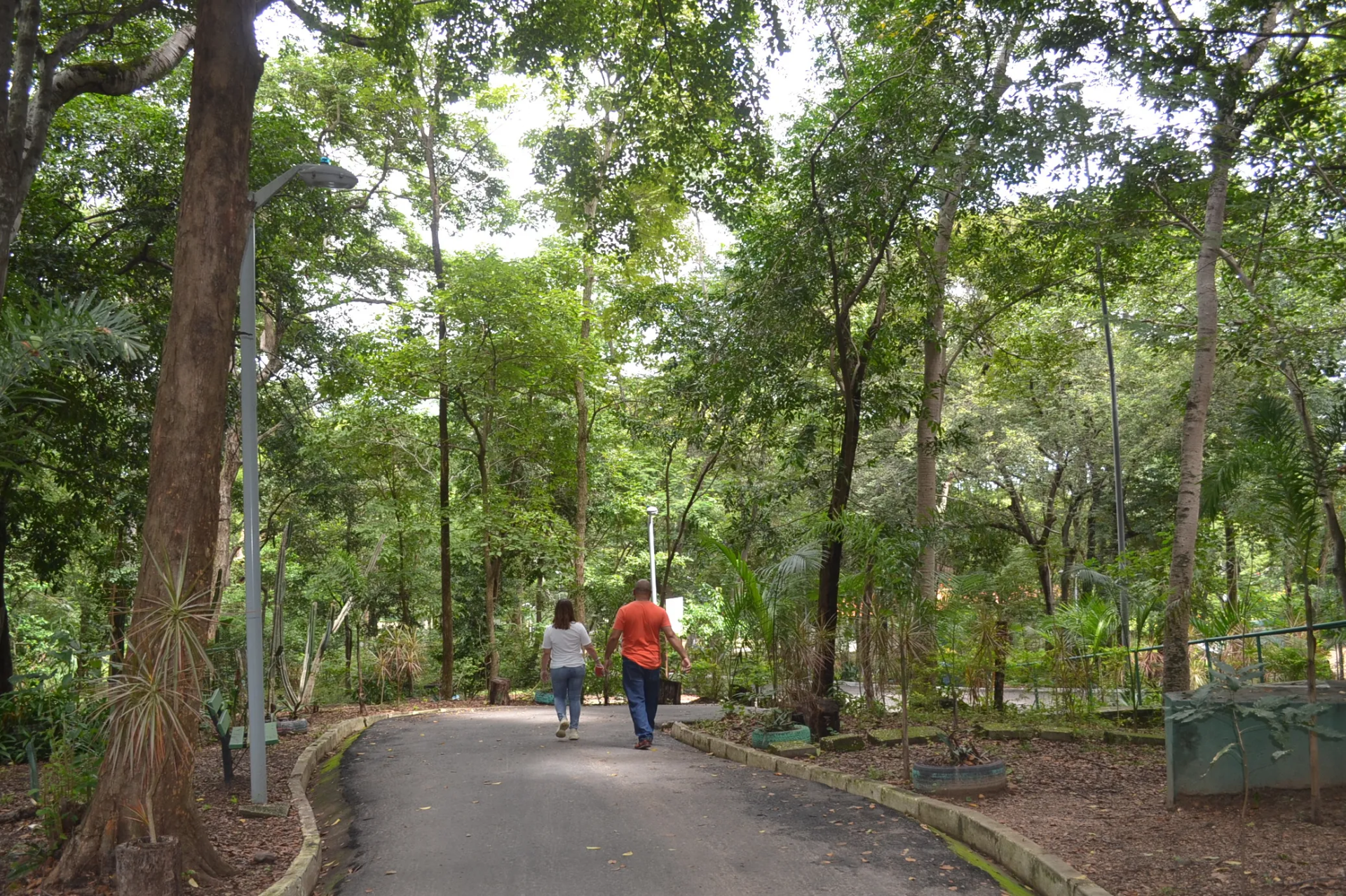 Parque Ambiental Enéias Brito