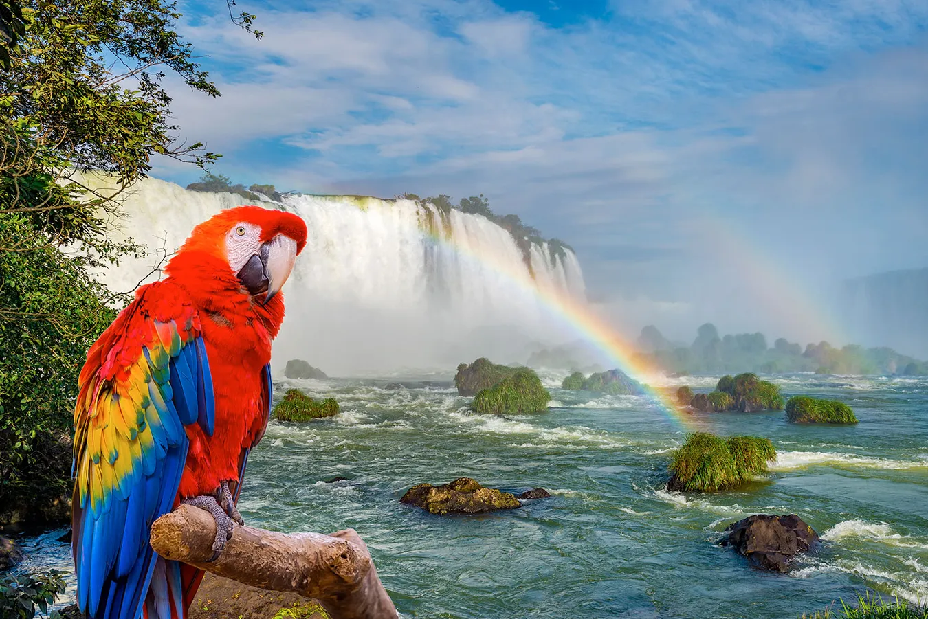 Parque de las Aves